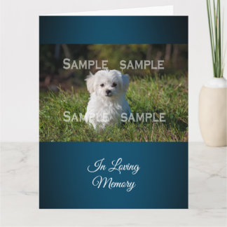 Cartão Maltese poodle in grass photo | Personalize
