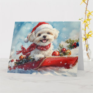 Cartão Malti Tzu Cachorro em Trenó Deixe Nevar Natal