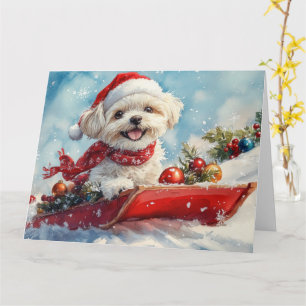 Cartão Malti Tzu Cachorro no Trenó Deixe Nevar Natal