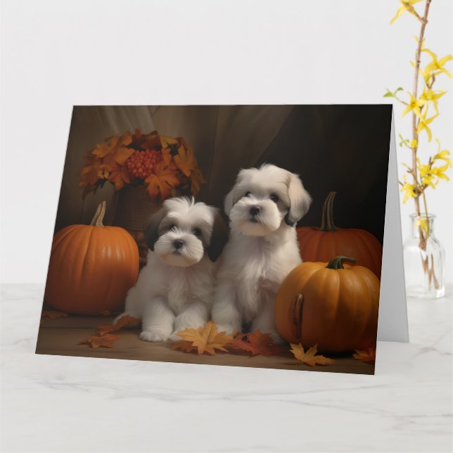 Cartão Malti tzu Puppy Autumn Delight Pumpkin (Flor Amarela)