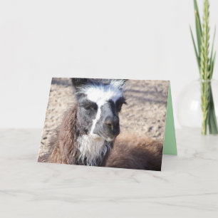 Cartão Mama Llama Saudação