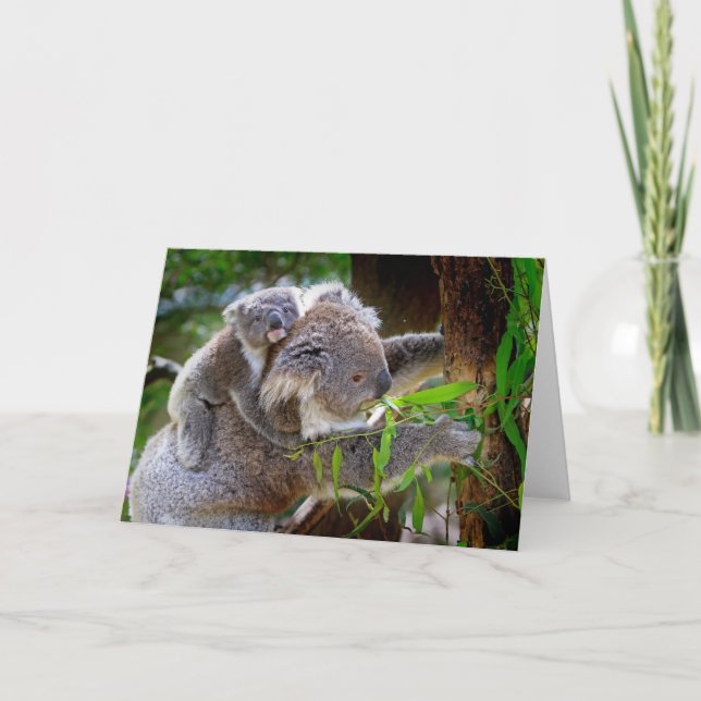 Cartão Mamãe e Baby Koalas (Frente)