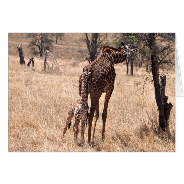 Cartão Mamães e mim (Frente Horizontal)