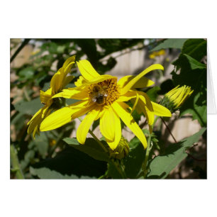 Cartão mamangabas num girassol