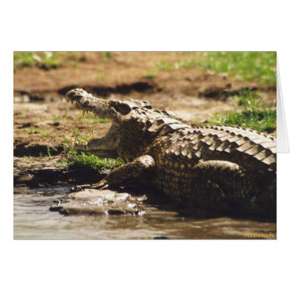Cartão Mamba (crocodilo)