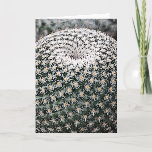Cartão Mammillaria elegans notecard (Frente)