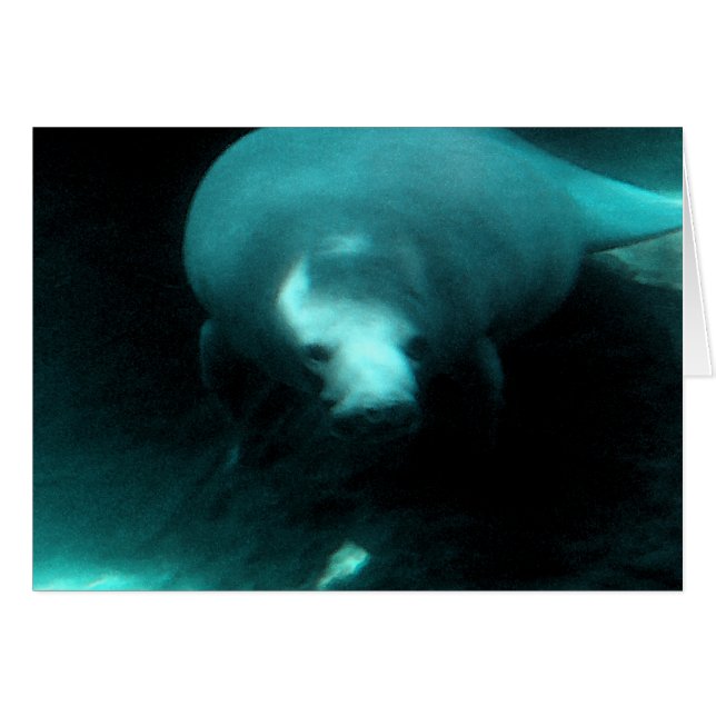 Cartão Manatee Dreams (Frente Horizontal)