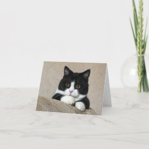 Cartão Manchester great cheeks Card