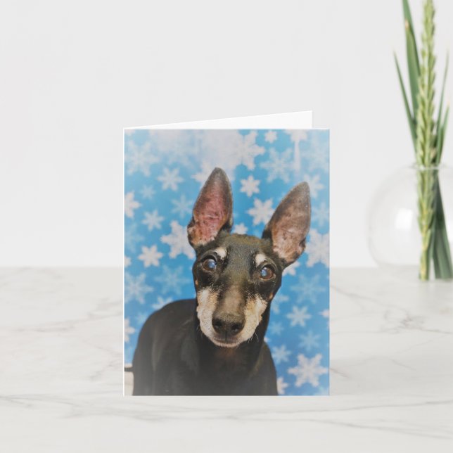 Cartão Manchester Terrier Holiday Card (Frente)