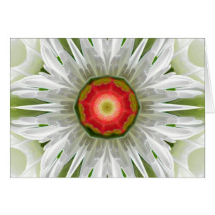 Cartão Mandala Daisy
