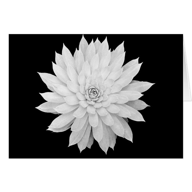 Cartão Mandala do Succulent (Frente Horizontal)