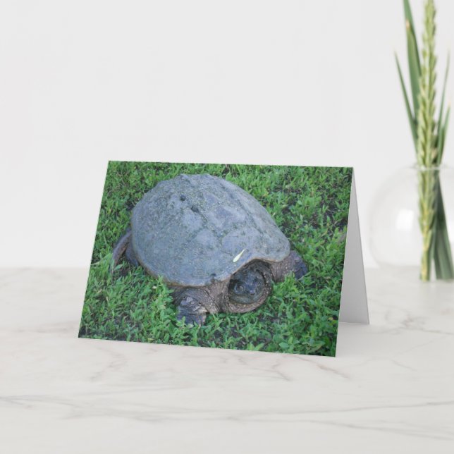 Cartão Mandando Durante Mais De 70 Milhões De Anos (Frente)