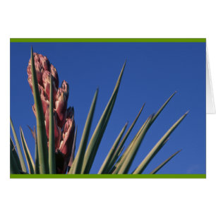 Cartão Mandioca de florescência
