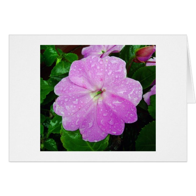 Cartão Manhã (Frente horizontal)