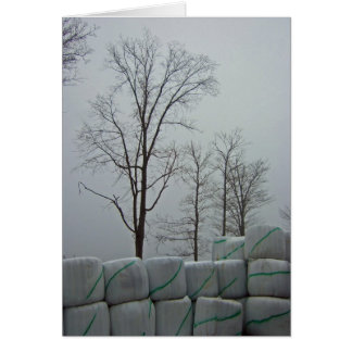 Cartão Manhã de inverno 5x7