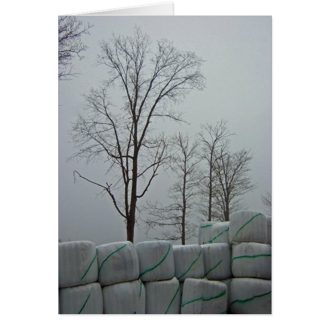 Cartão Manhã de inverno 5x7 (Frente)