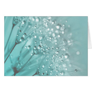 Cartão Manhã Freshness