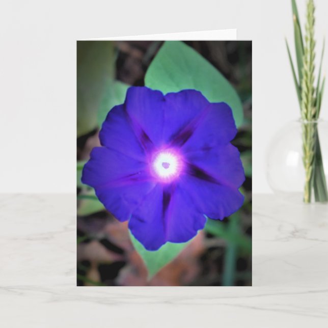 Cartão Manhã Glória, carta (Frente)