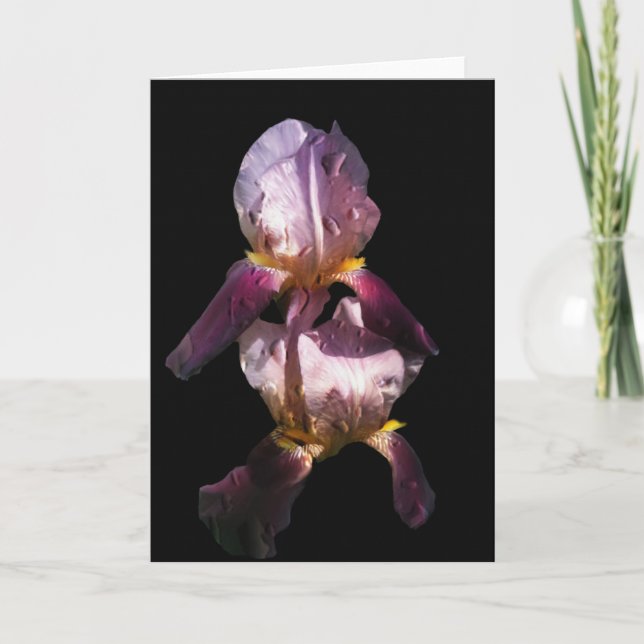 Cartão Manhã Íris (Frente)