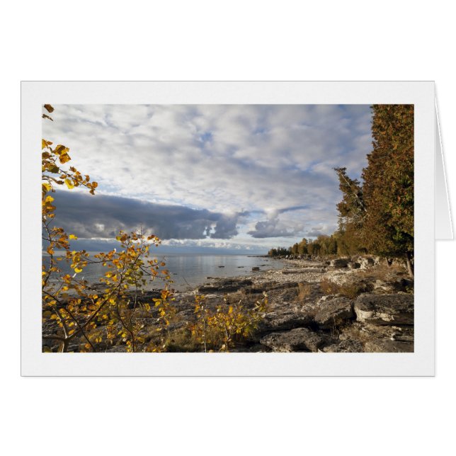 Cartão Manhã/Lago Michigan do outono (Frente Horizontal)