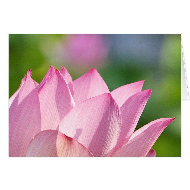 Cartão Manhã Rosa (Frente horizontal)