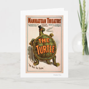 Cartão Manhattan Theatre New York Broadway The Turtle