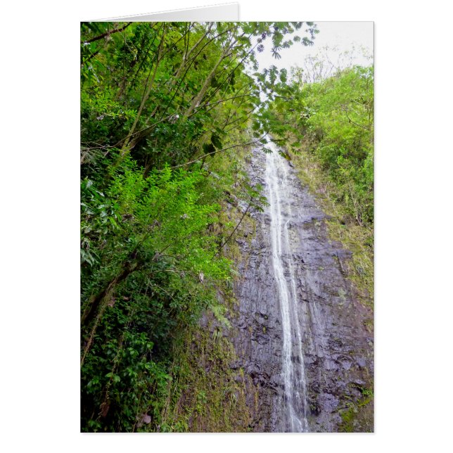 Cartão Manoa Falls (Frente)