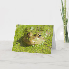 Cartão Mantendo-se legal