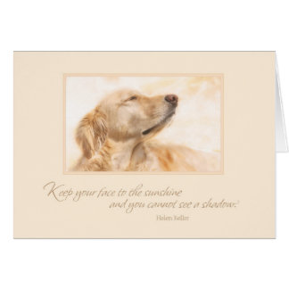 Cartão Mantenha sua cara à luz do sol