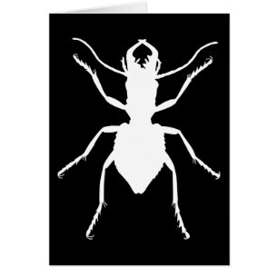 Cartão Manticora tuberculata