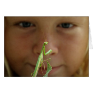 Cartão Mantis religiosa