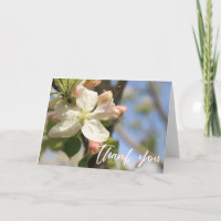 Manuscrito Casual Obrigado Amigos Da Apple