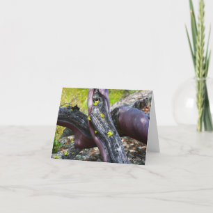 Cartão Manzanita Greeting Card