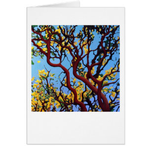 Cartão Manzanita no outono