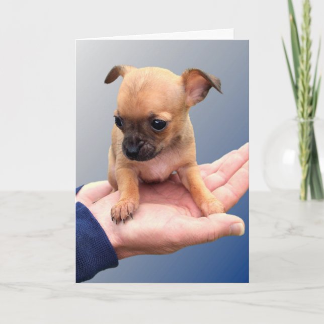 Cartão Mãos Adoráveis (Frente)