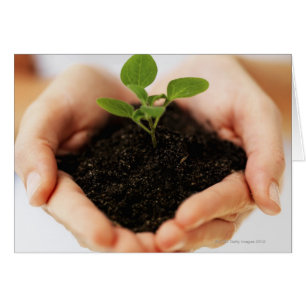 Cartão Mãos recheadas