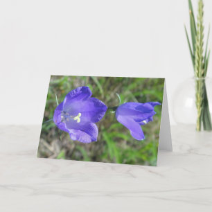 Cartão Mapa de saudação, par azul de flores, em vazio