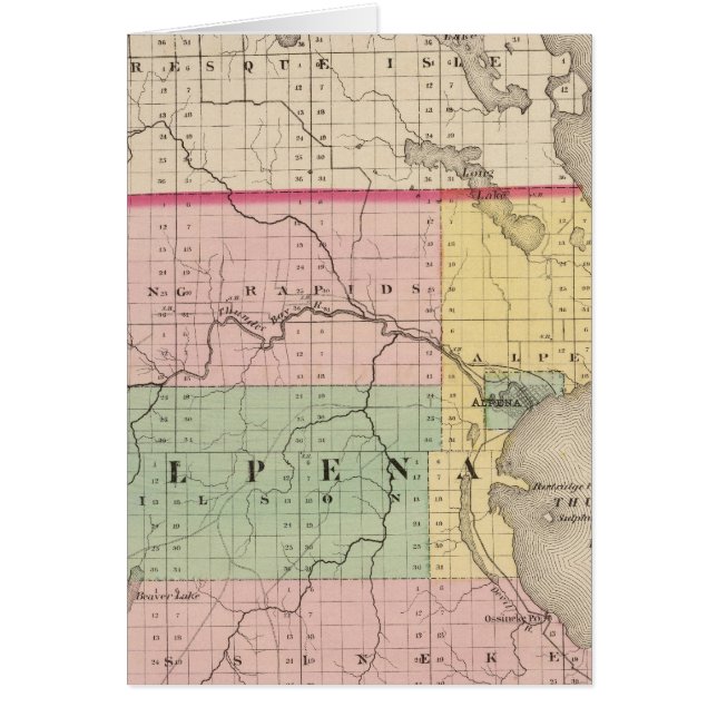 Cartão Mapa do Condado de Alpena, Michigan (Frente)