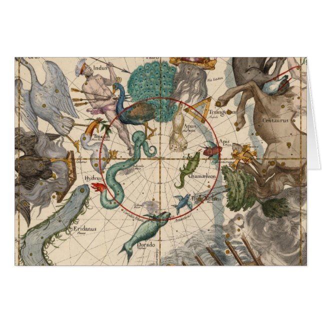 Cartão Mapa do vintage do pólo sul (Frente Horizontal)