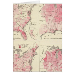 Cartão mapas de vitalidade dos Estados Unidos