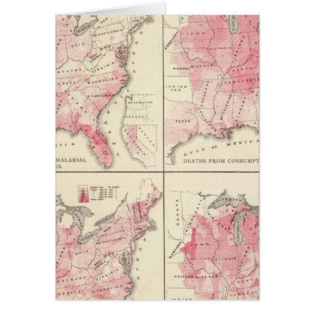 Cartão mapas de vitalidade dos Estados Unidos (Frente)