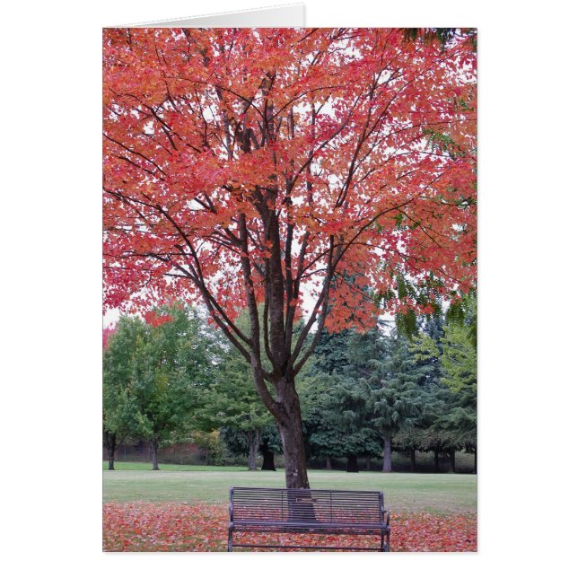 Cartão Mapeamento com placa de banco (Frente)