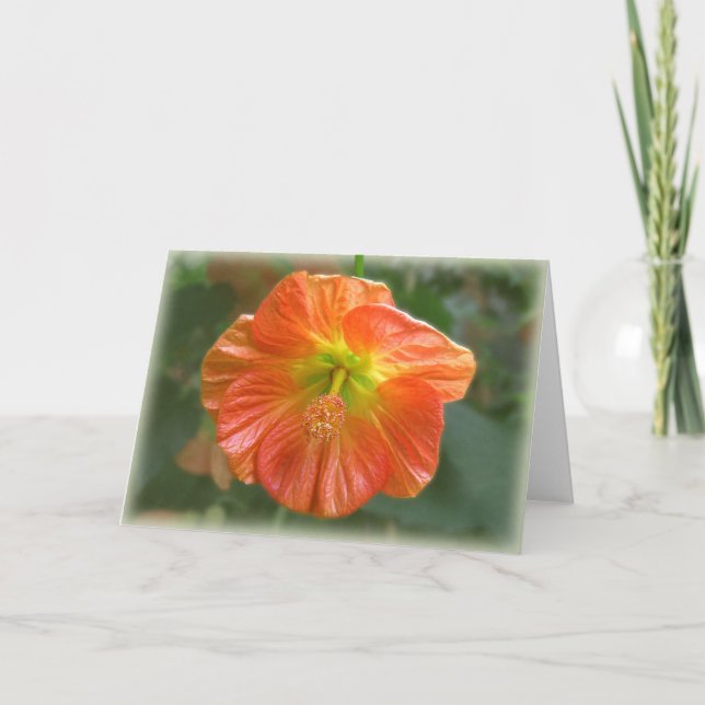 Cartão Maple Bloom (Frente)