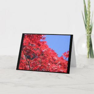 Cartão Maple Japonês