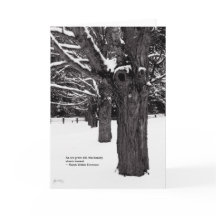 Maple Line: Emerson Quote