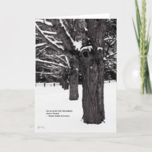 Maple Line: Emerson Quote