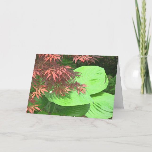 Cartão Maple N' Hosta Note Cards (Frente)