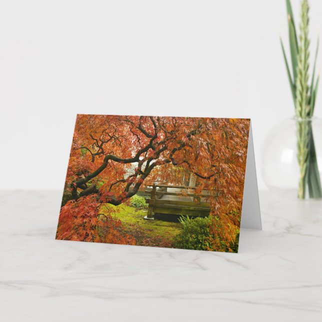 Cartão Maple Tree in Japanese Garden Photo Greeting Card (Frente)