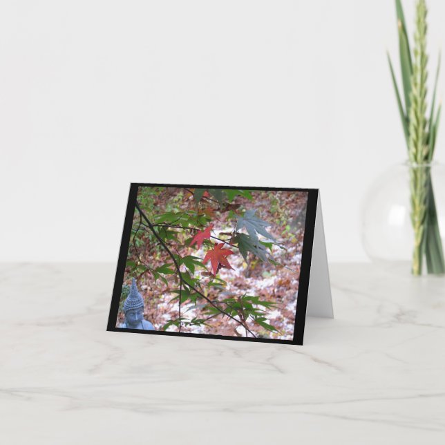 Cartão Maple Zen Notecard (Frente)