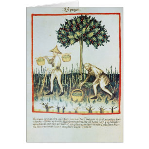 Cartão Máquinas desbastadoras do aspargo, século XIII